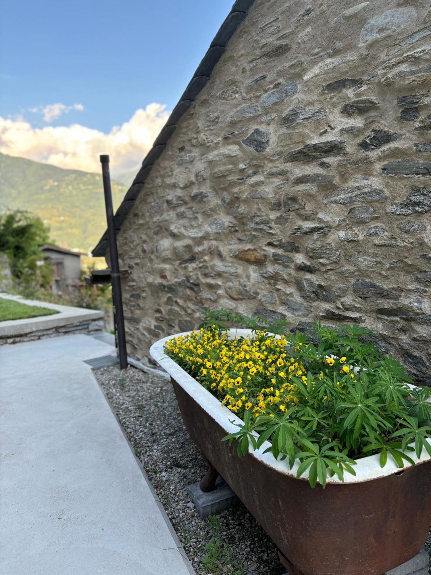 Ca'gialla Apartment *